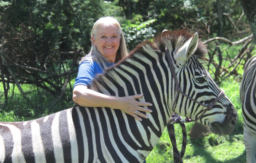 Excursion to Zebra Safaris